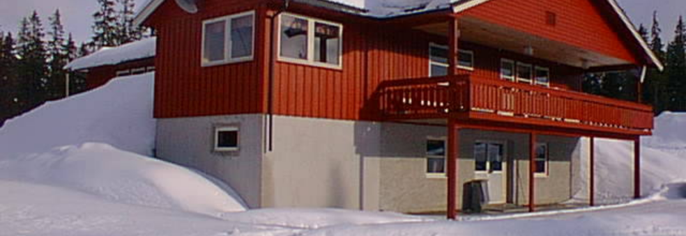 Øysteintrimmen 2020